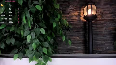 Snapshot of miss_danika chatting on 02/21/25, 11:01 Danika online show from 02/21/25, 11:01