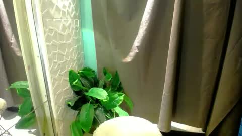 Snapshot of miss_moheera_xxx chatting on 05/03/26, 02:17 Moheera online show from 05/03/26, 02:17