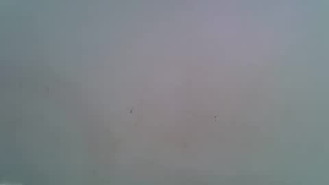 miss_rihanna2 online show from 02/04/26, 07:09