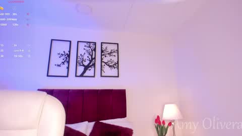 Snapshot of miss_sidney chatting on 01/21/25, 11:35 Amy Olivera online show from 01/21/25, 11:35