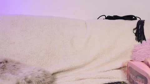 miss_sophia21 online show from 02/18/26, 02:51