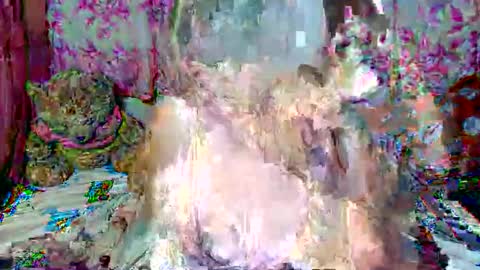 miss v0lcan0 online show from 03/15/26, 12:05