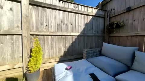  Miss Alex  online show from 03/21/26, 02:09