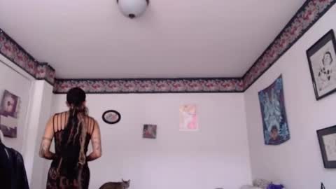 Anarkitten  online show from 01/30/25, 08:31