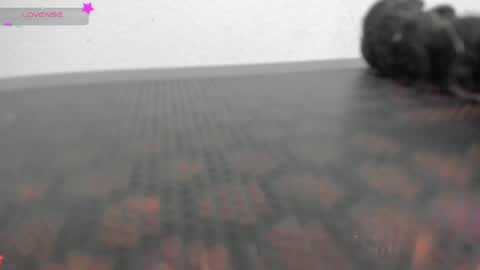 Vane online show from 04/01/26, 11:13