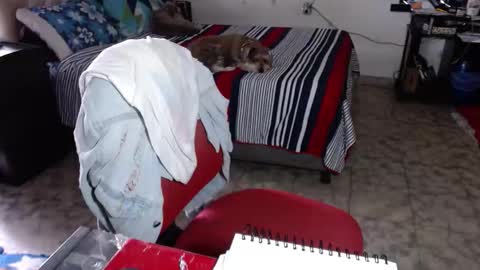 Maria Gomezz online show from 02/02/26, 05:33