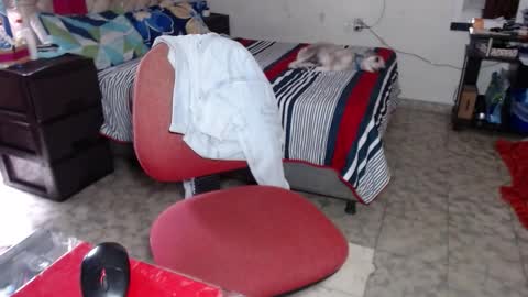 Maria Gomezz online show from 02/19/26, 06:26