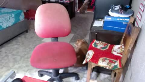 Maria Gomezz online show from 05/26/26, 06:04