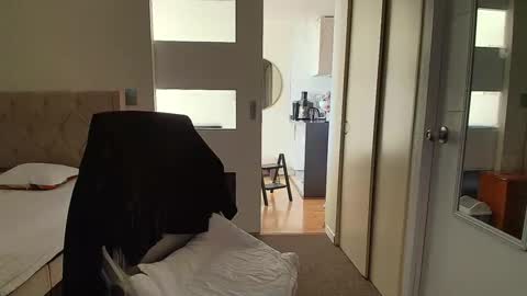 Anghy online show from 04/15/26, 08:42