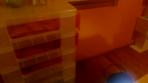 MissKittyFox online show from 06/25/26, 04:56