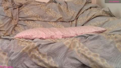  Vi  online show from 02/19/26, 11:06