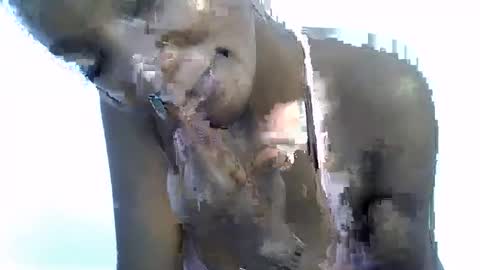 sexy online show from 01/19/26, 10:30