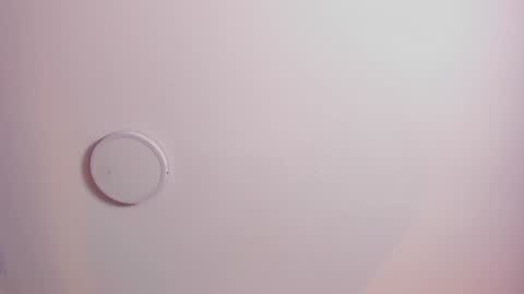 Miss online show from 12/28/24, 08:47