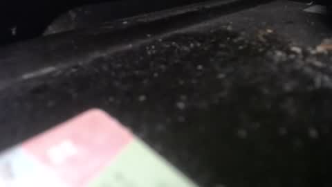 Calipso online show from 04/20/26, 12:30