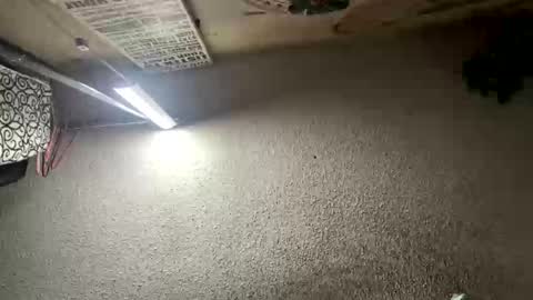 mister_nasty online show from 01/12/26, 06:57