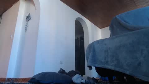 mistersam33 online show from 02/10/25, 01:44