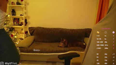 Hi everyone Im Tina online show from 12/20/25, 05:53