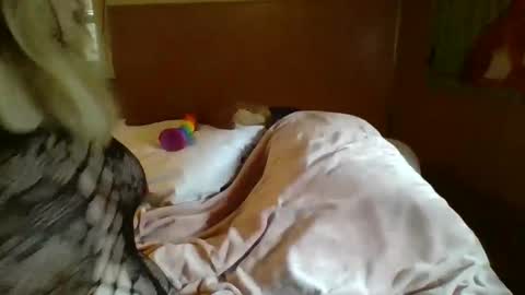 MichelleBunny7 online show from 02/05/25, 06:48