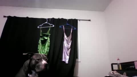 Snapshot of miztrezk chatting on 05/12/26, 02:08 miztrezk online show from 05/12/26, 02:08
