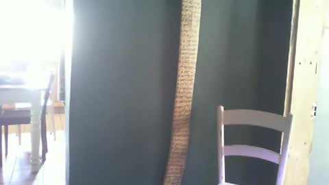 Snapshot of mjjunior1999 chatting on 11/19/25, 11:54 MikeyRix online show from 11/19/25, 11:54