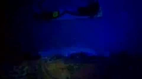 Daddy720 online show from 10/14/25, 11:05