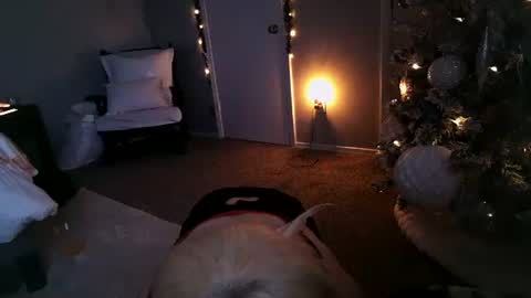 Snapshot of mmmmmwah chatting on 12/11/24, 11:30 Angel online show from 12/11/24, 11:30