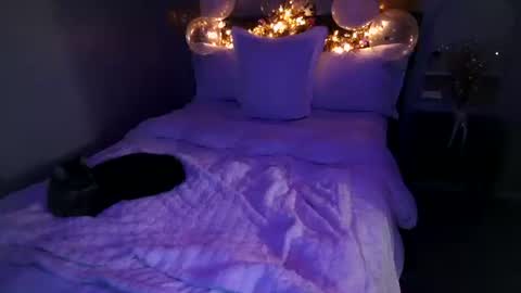 Snapshot of mmmmmwah chatting on 02/20/26, 06:26 Angel online show from 02/20/26, 06:26