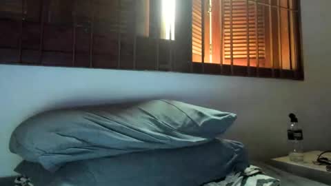 DigBreed online show from 01/02/25, 10:11