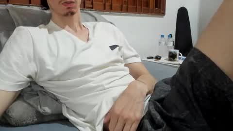 DigBreed online show from 02/08/26, 12:41