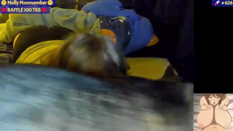 molly_moons online show from 11/17/25, 07:03