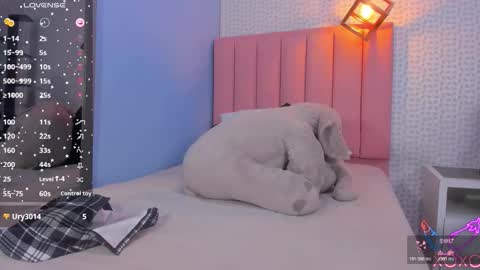 MOLLY online show from 11/11/25, 07:58