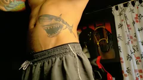 Snapshot of molotov_explosive chatting on 11/19/25, 09:15 Molotov online show from 11/19/25, 09:15