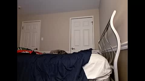 moneyboysaveg584 online show from 04/12/26, 10:09