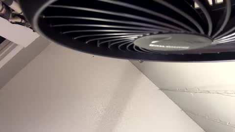 Snapshot of monicav21 chatting on 12/09/24, 05:19 Monica online show from 12/09/24, 05:19