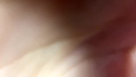 Snapshot of monicav21 chatting on 12/11/24, 08:36 Monica online show from 12/11/24, 08:36