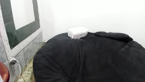 Snapshot of monkeyd_66 chatting on 01/28/25, 01:29 monkeyd_66 online show from 01/28/25, 01:29