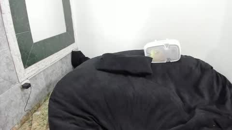 Snapshot of monkeyd_66 chatting on 02/18/25, 09:10 monkeyd_66 online show from 02/18/25, 09:10