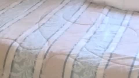 Snapshot of montydxxx2 chatting on 02/12/26, 11:22 montydxxx2 online show from 02/12/26, 11:22