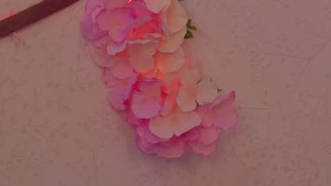 Im a independent model  Welcome online show from 04/12/26, 04:34