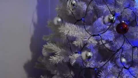   Mona   online show from 12/08/24, 06:54