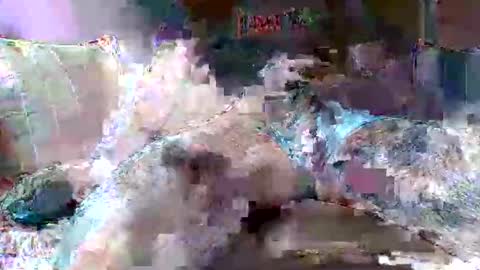 morboso2563 online show from 11/21/25, 10:30