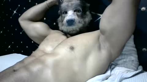 Snapshot of moreno1muscular chatting on 03/04/25, 09:11 moreno1muscular online show from 03/04/25, 09:11