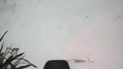 John john online show from 02/24/25, 06:27