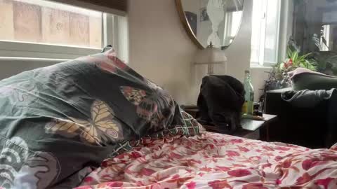 Snapshot of moreplease413 chatting on 12/27/24, 08:18 moreplease413 online show from 12/27/24, 08:18