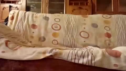 Nomadu online show from 12/11/24, 08:04