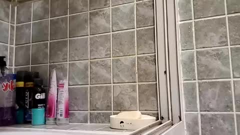 Snapshot of moss127 chatting on 12/15/24, 03:20 twennysevv27 online show from 12/15/24, 03:20