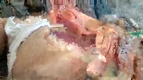 Arab boy online show from 11/24/25, 12:05