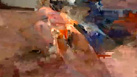 Flying Bird online show from 01/18/26, 10:46