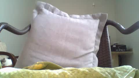 Snapshot of mountfort1967 chatting on 07/20/26, 03:14 mountfort1967 online show from 07/20/26, 03:14