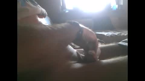 Snapshot of mowgli1977 chatting on 12/28/24, 08:37 mowgli1977 online show from 12/28/24, 08:37